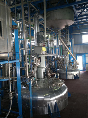 Chemical Reactor